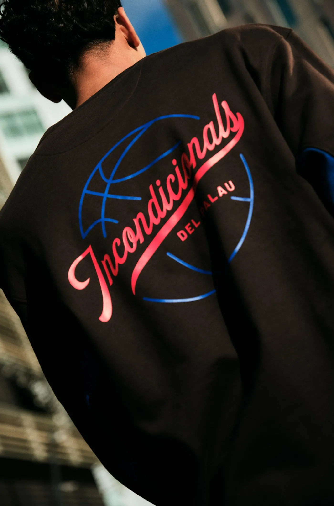Shop Sudadera baloncesto Hombre Sudaderas | Basket